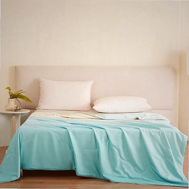 Luxury Ombre Silk Comforter, 100% Mulberry Silk, Mint Green, 90"X90